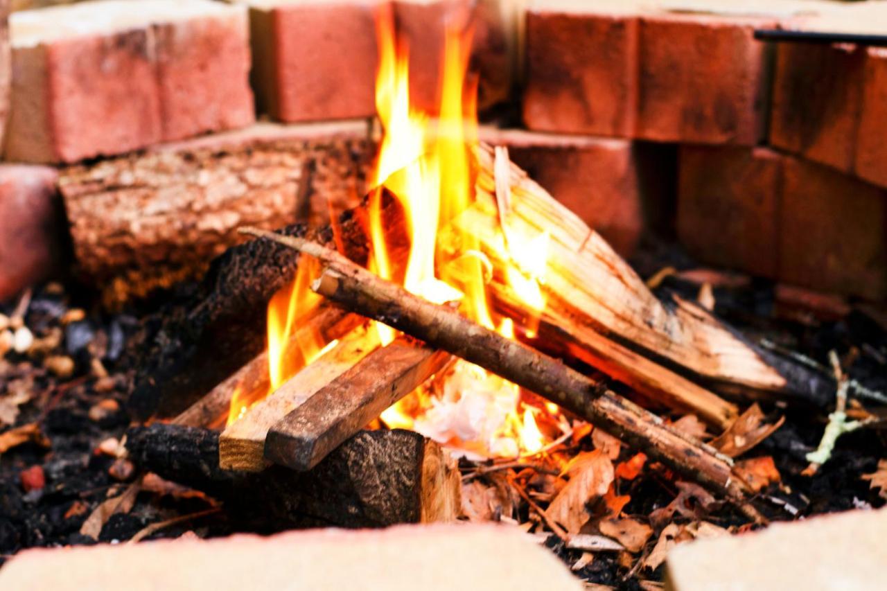 Cozy Cabin Retreat - Hot Tub, Fireplace & Fire Pit Blue Ridge Dış mekan fotoğraf