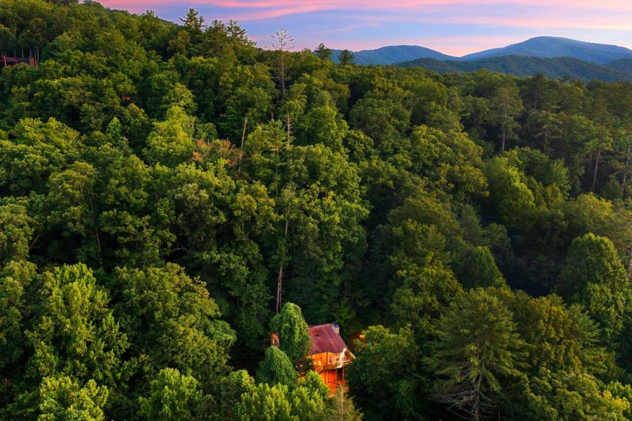 Cozy Cabin Retreat - Hot Tub, Fireplace & Fire Pit Blue Ridge Dış mekan fotoğraf